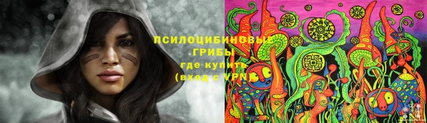 прущий лед Гусиноозёрск