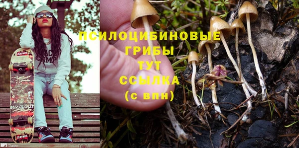 таблы Горнозаводск