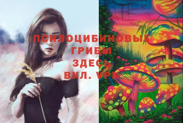 не бодяженный Гусь-Хрустальный