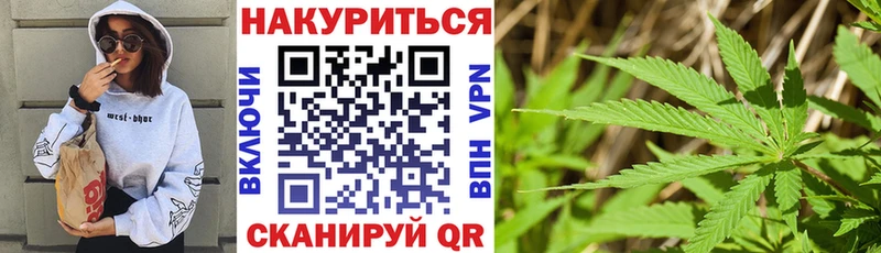 Каннабис планчик  Купить где  Лангепас 